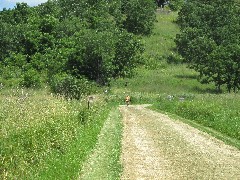 Judy Geisler; IAT; Table Bluff Segment, WI